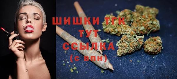 ПСИЛОЦИБИНОВЫЕ ГРИБЫ Аркадак