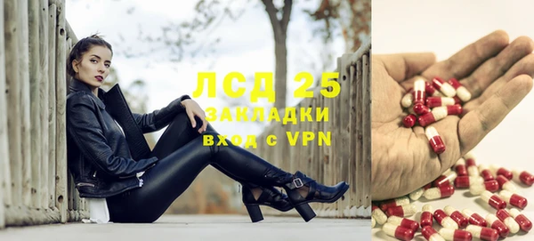 стаф Семилуки