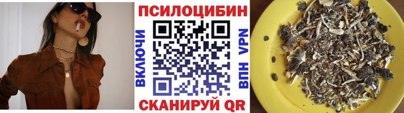 где купить наркоту Искитим Галлюциногенные грибы GOLDEN TEACHER